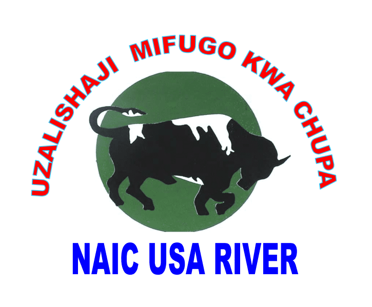 NAIC Logo